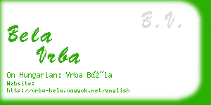 bela vrba business card